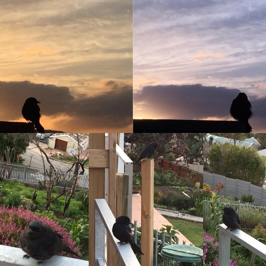 Paradise Found Κνύσνα Εξωτερικό φωτογραφία
